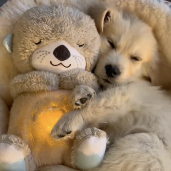 Calming Otter Plush | Pup's & Cat's Instant Relief from Stress & Anxiety