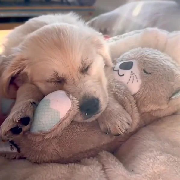 Calming Otter Plush | Pup's & Cat's Instant Relief from Stress & Anxiety