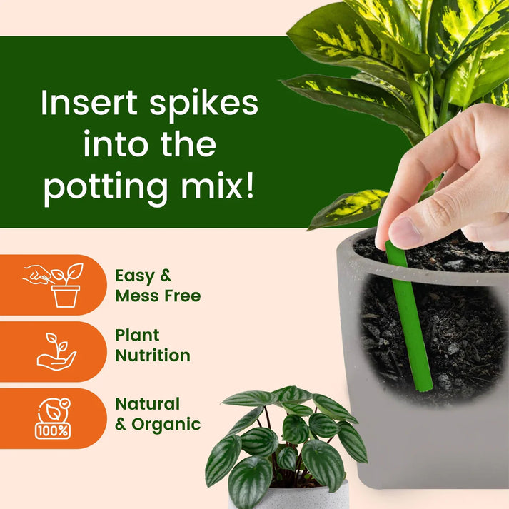 DR. Green's - Magic Plant Sticks