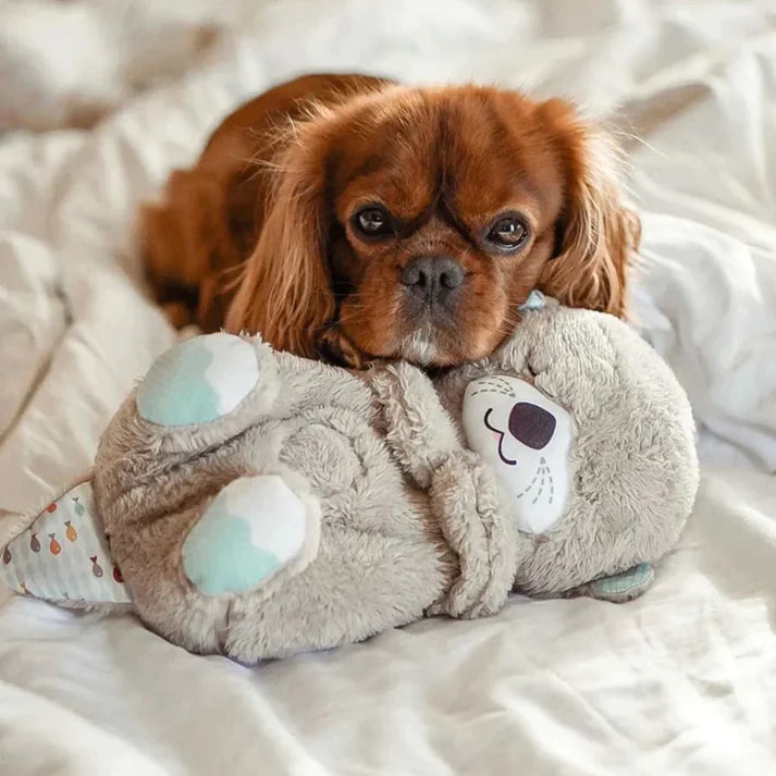 Calming Otter Plush | Pup's & Cat's Instant Relief from Stress & Anxiety
