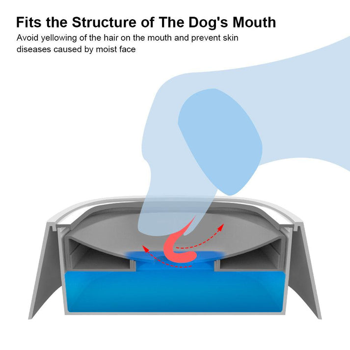 Splash-Proof Water Bowl