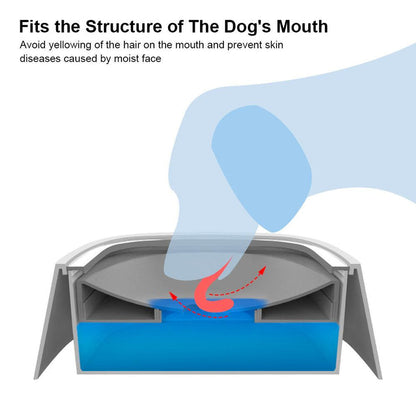 Splash-Proof Water Bowl